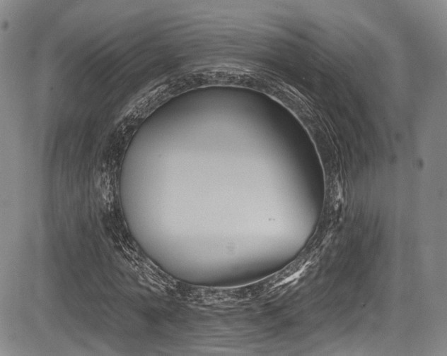 X0000084050774200702161506