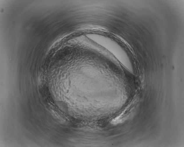 X0000084050775200702161506