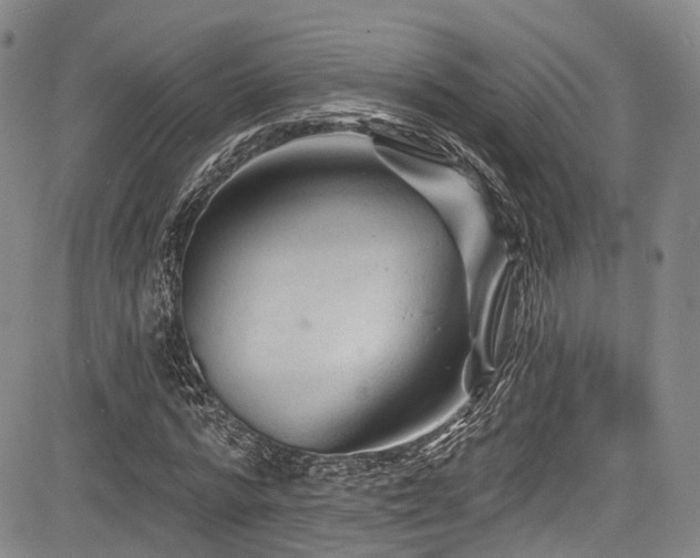 X0000084050776200702161506