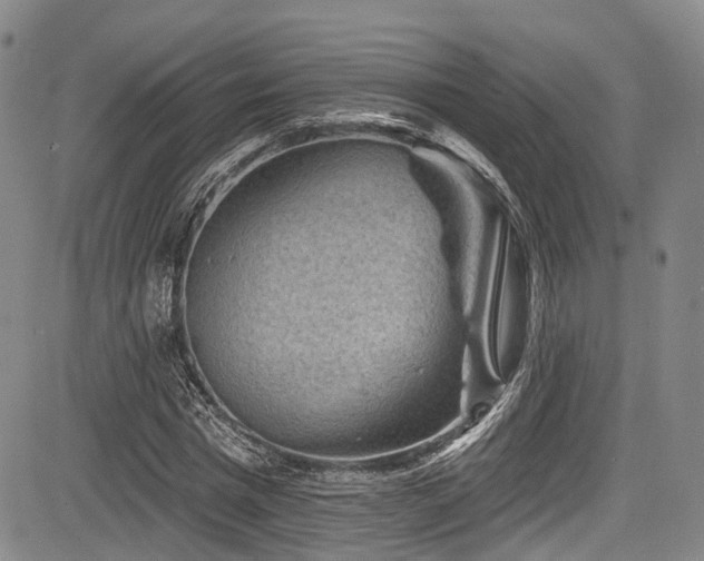 X0000084050777200702161506