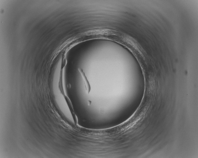 X0000084050778200702161506