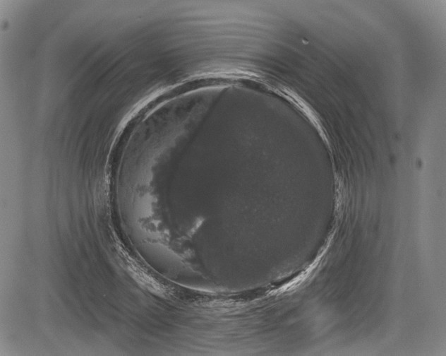 X0000084050779200702161506