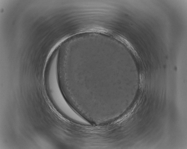 X0000084050780200702161506