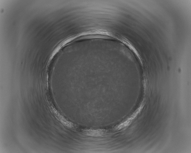 X0000084050781200702161506