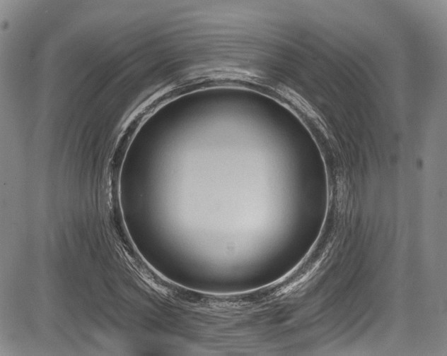 X0000084050782200702161506