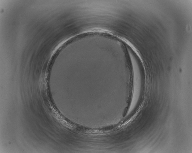 X0000084050783200702161506