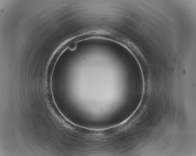 X0000084050784200702161506