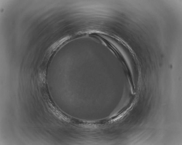 X0000084050785200702161506