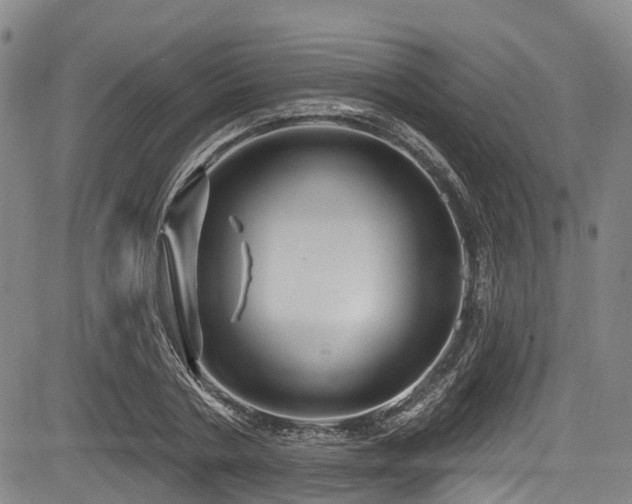 X0000084050786200702161506