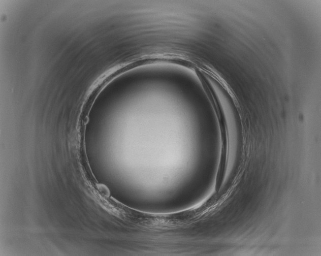 X0000084050787200702161506