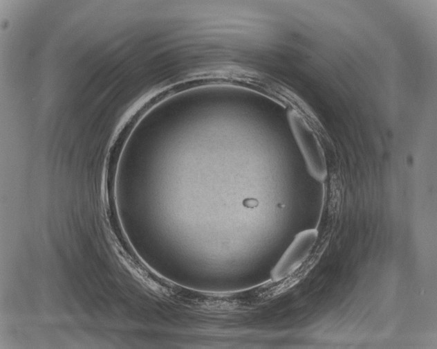 X0000084050788200702161506