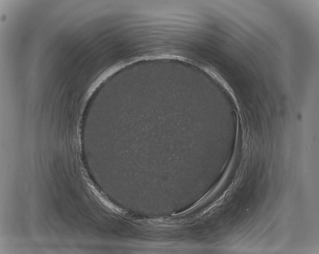 X0000084050789200702161506