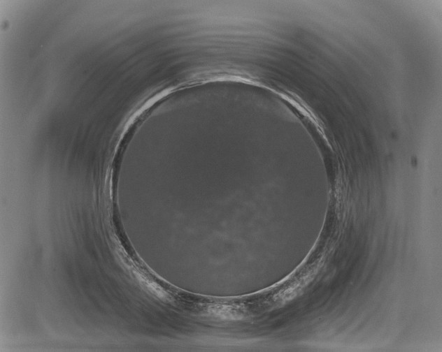 X0000084050790200702161506