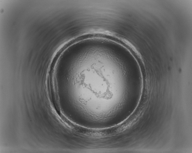 X0000084050791200702161506