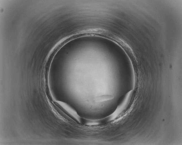 X0000084050792200702161506