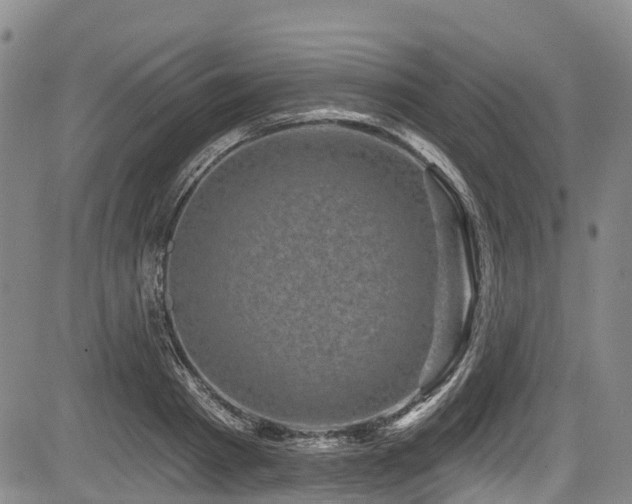 X0000084050793200702161506