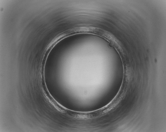 X0000084050794200702161506