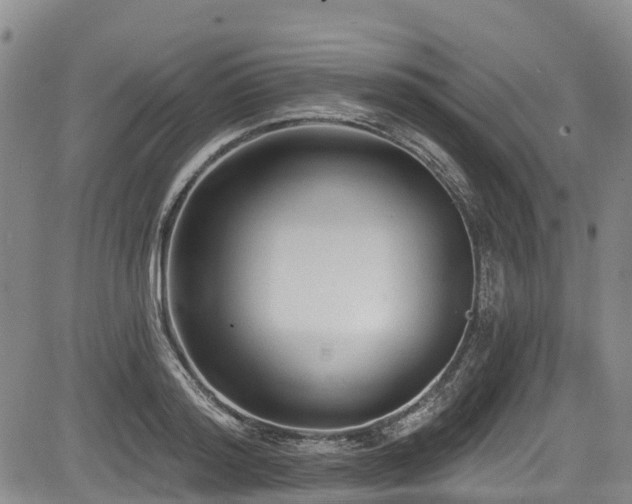 X0000084050796200702161505