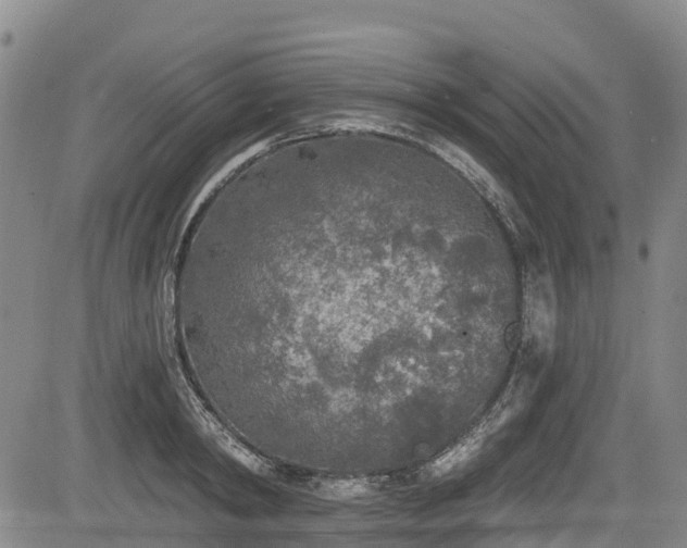 X0000084050798200702161505