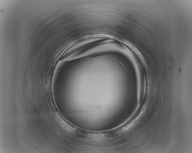 X0000084050801200702161505