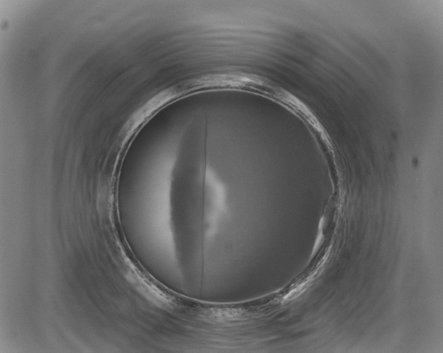 X0000084050802200702161505