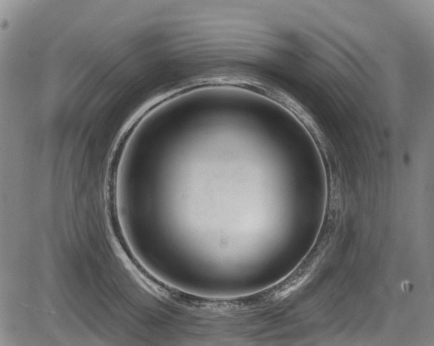 X0000084050803200702161505