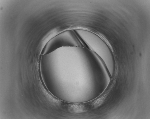 X0000084050805200702161505