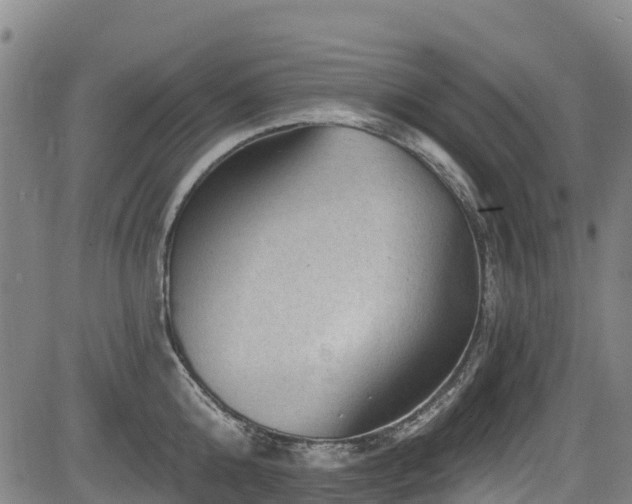 X0000084050808200702161505