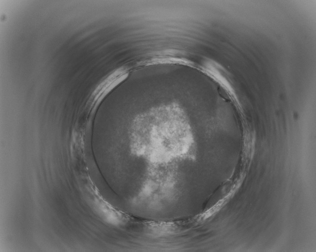 X0000084050809200702161505