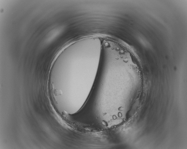 X0000084050810200702161505