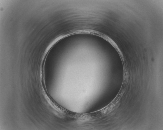 X0000084050811200702161505