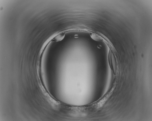 X0000084050812200702161505