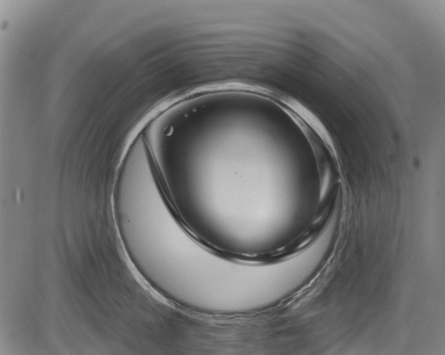 X0000084050813200702161505