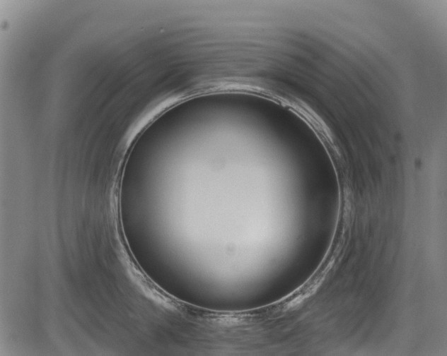 X0000084050814200702161505