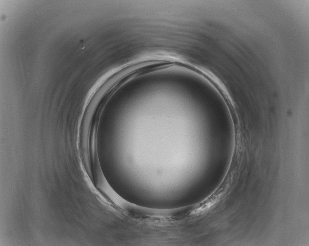 X0000084050815200702161505