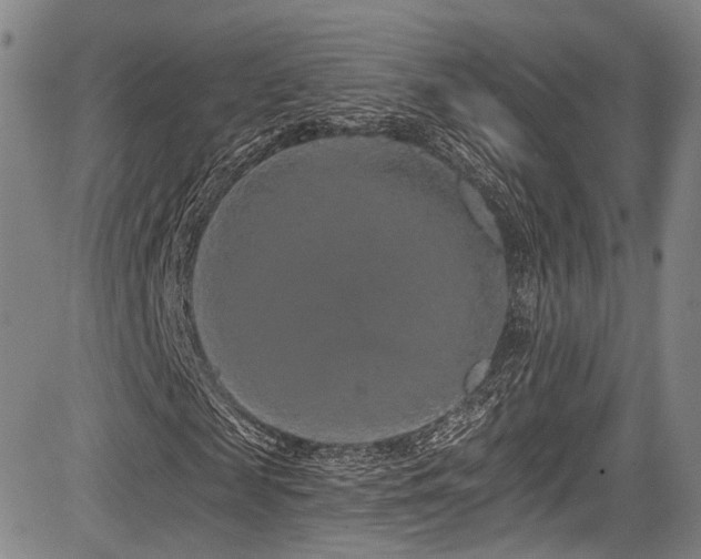 X0000084050817200702161504