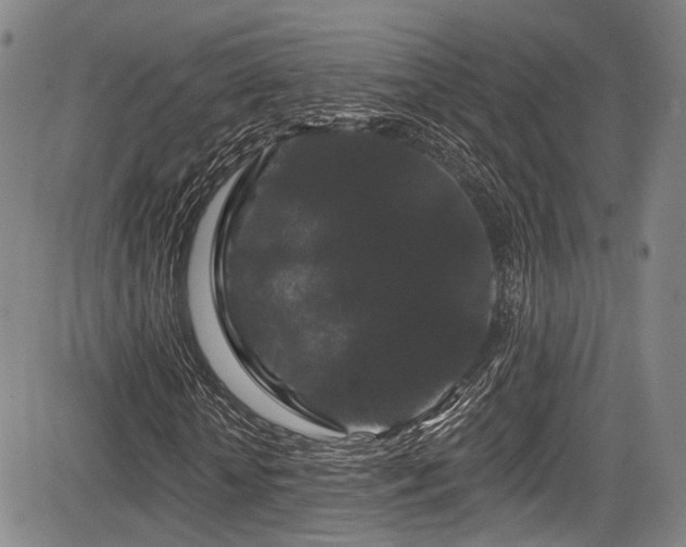 X0000084050818200702161504