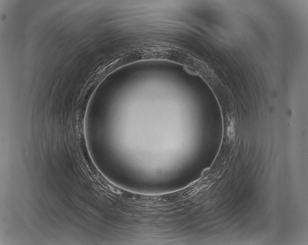 X0000084050819200702161504