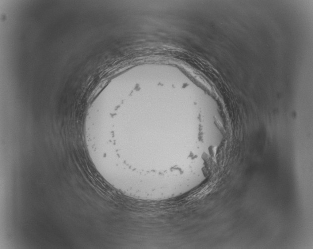 X0000084050820200702161504