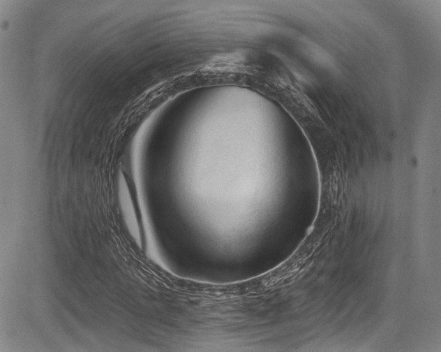 X0000084050821200702161504