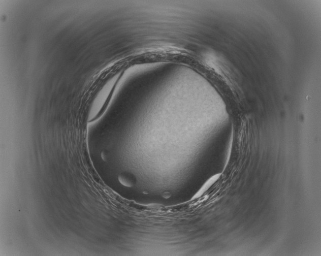 X0000084050822200702161504