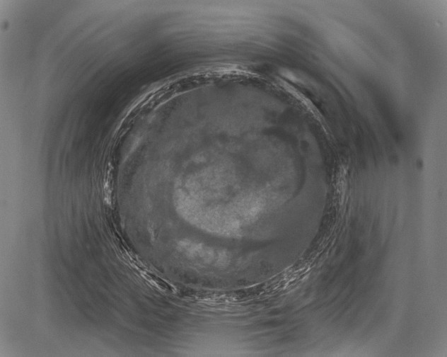 X0000084050823200702161504