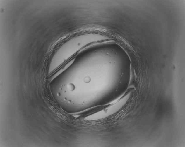 X0000084050824200702161504