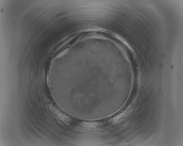 X0000084050825200702161504