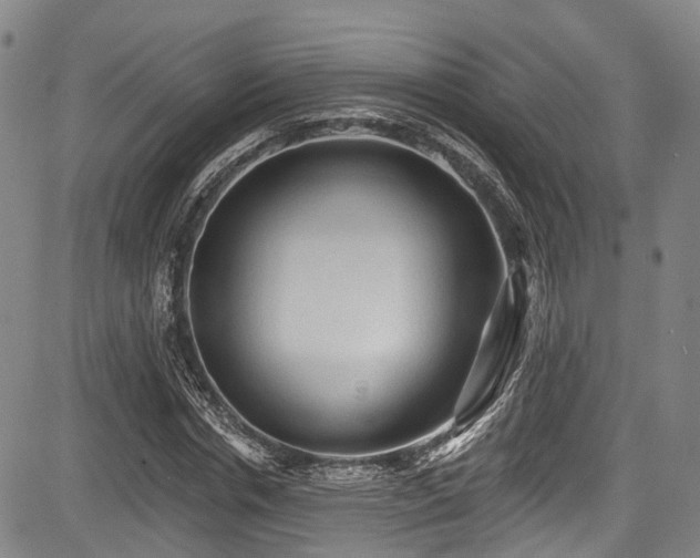 X0000084050826200702161505