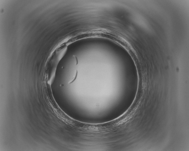 X0000084050827200702161505