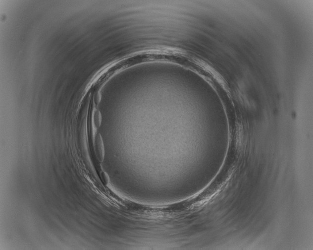 X0000084050829200702161505