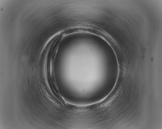 X0000084050830200702161505