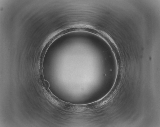 X0000084050831200702161505