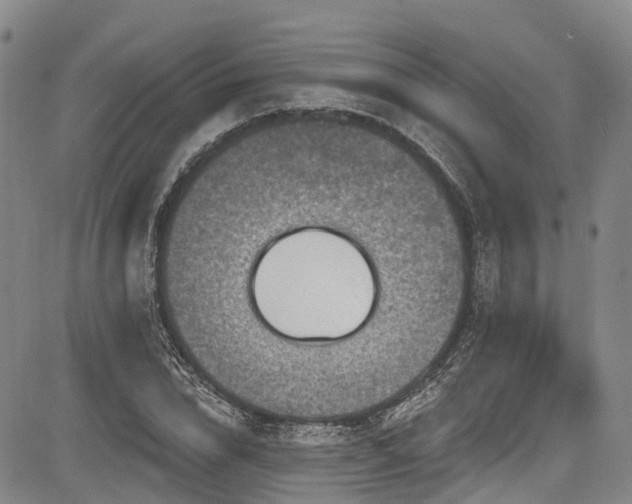 X0000084050832200702161505